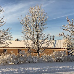 Härlig vinterdag 2016-12-12